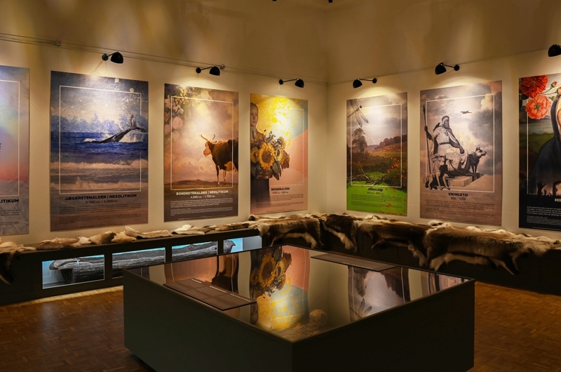 Fotografi af den arkæologiske udstilling på Horsens Museum.